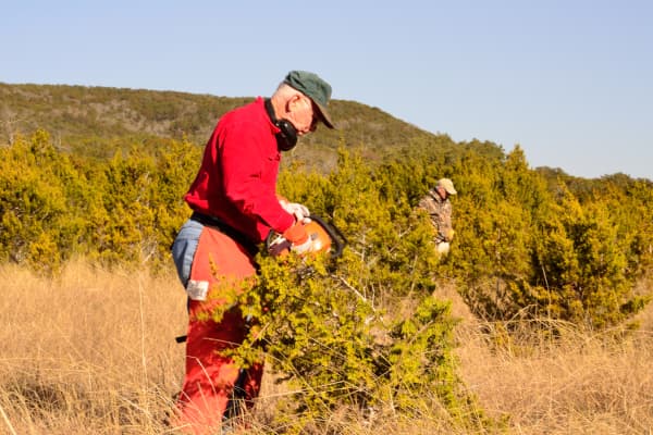 An ABK team member helping with brush control